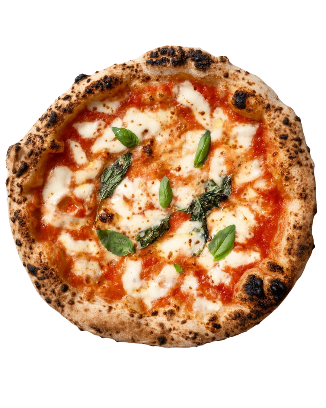Pizza Bogey 19